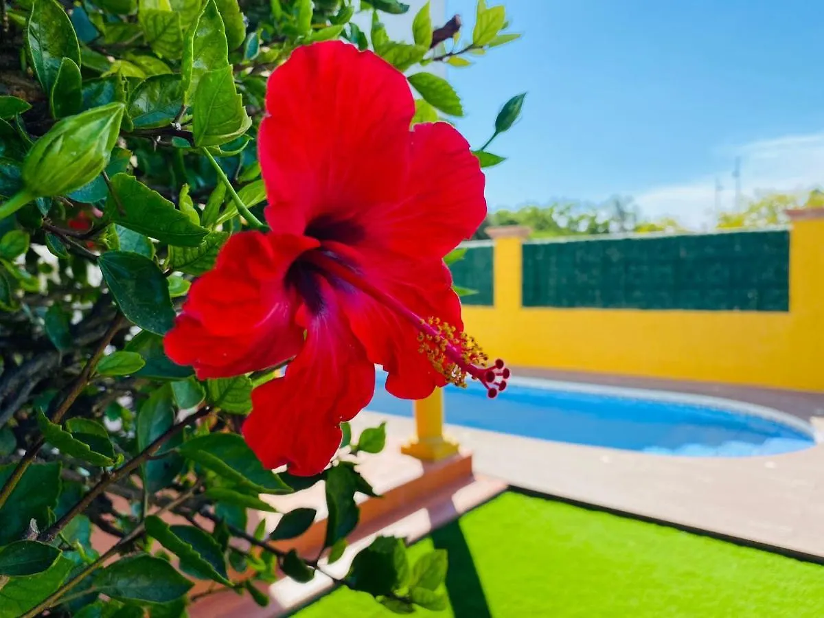 Guadalmina Bonita Villa Con Piscina Playa 800M Marbella Spain