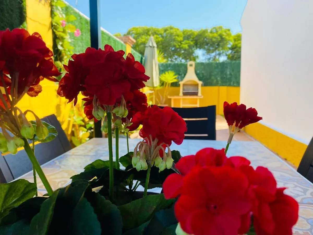 Guadalmina Bonita Villa Con Piscina Playa 800M Marbella